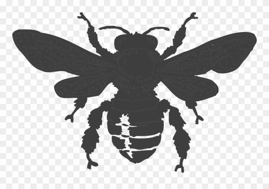 Collection Of Black And White Bee - Dark Bee Clipart