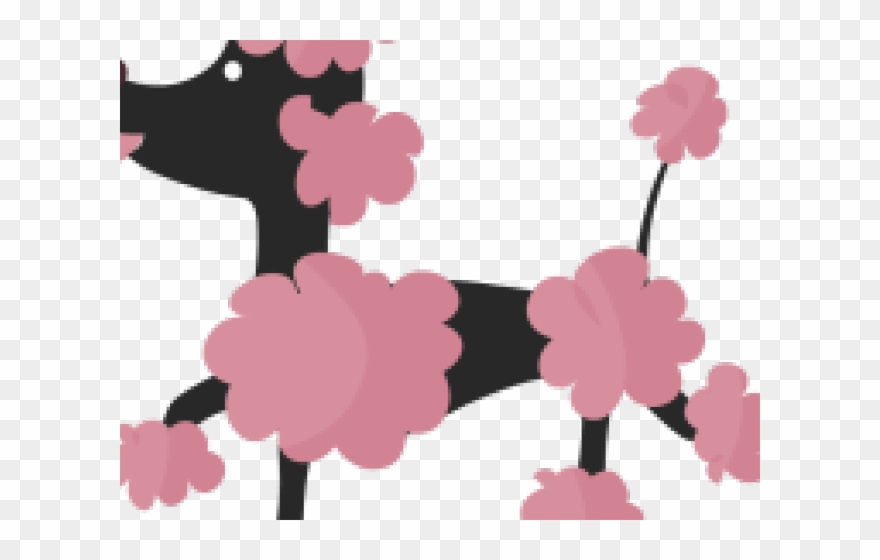 Freeuse French Poodle Clipart - Clip Art - Png Download