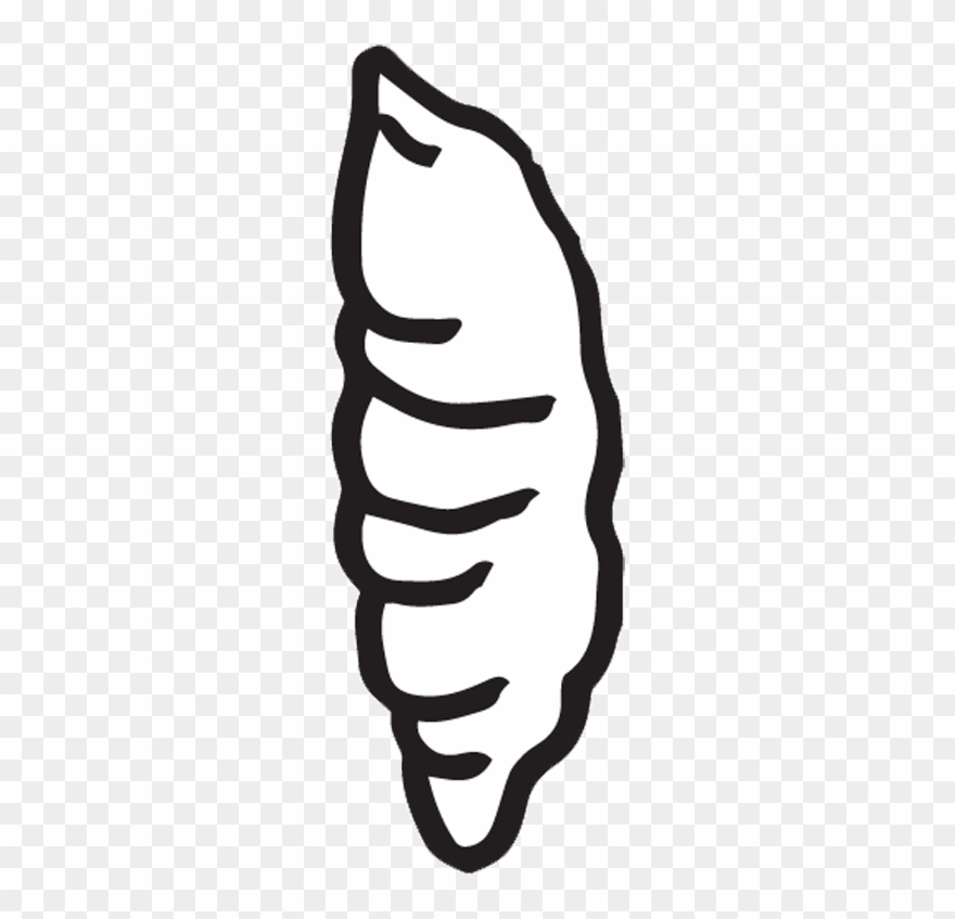 Insect Clipart, Wasp, Insects, Clip Art, Homeschool, - Gif - Png Download