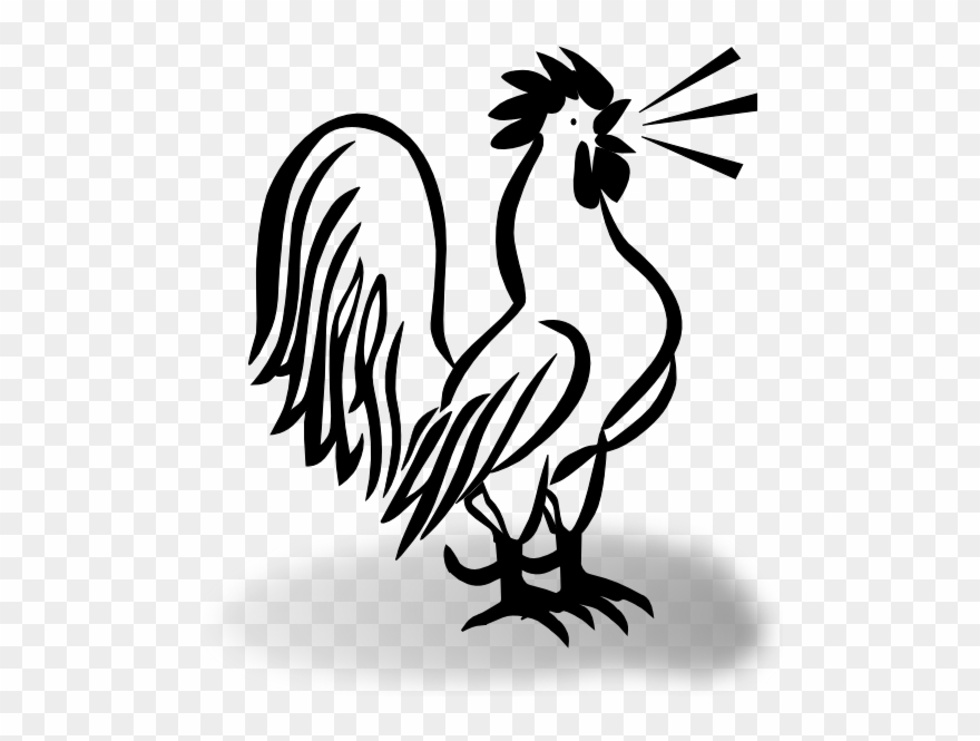 French Cockerel W Shaddow Clip Art - Rooster And Chicken Cartoon - Png Download