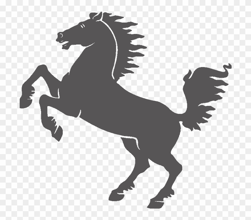 Kuda Animasi Png Clipart