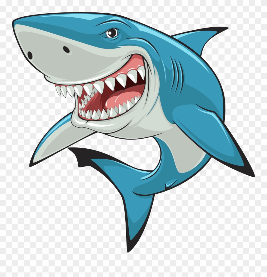 Salon Clip Shark Graphic Free Library - Shark Cartoon - Png Download