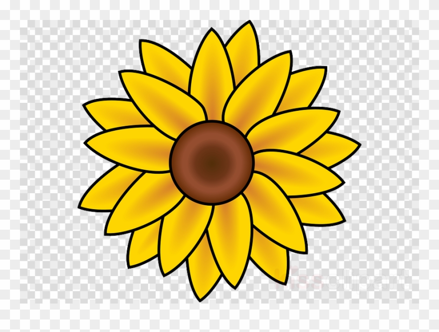Sunflower August Clipart Drawing Clip Art - 20% Off Of 3 Or More! - Png Download