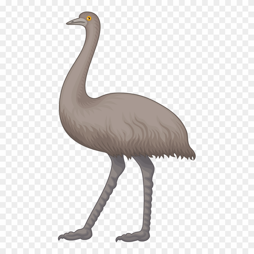 Ostrich Cliparts 12, Buy Clip Art - Clip Art Emu - Png Download