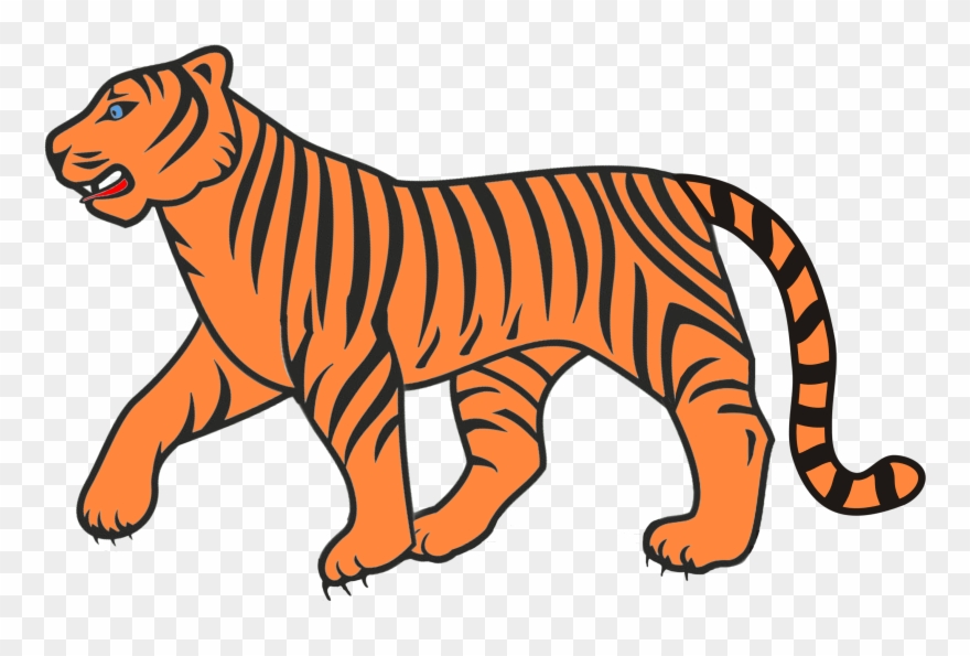 Bengal Tiger Clipart 13, Buy Clip Art - Clip Art - Png Download