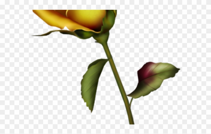 Drawn Bud Yello - Rose Bud Tattoo Design Clipart