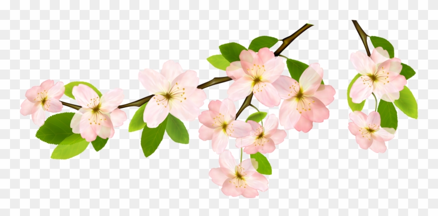 Magnolia Clipart Garland - Transparent Background Spring Clipart - Png Download