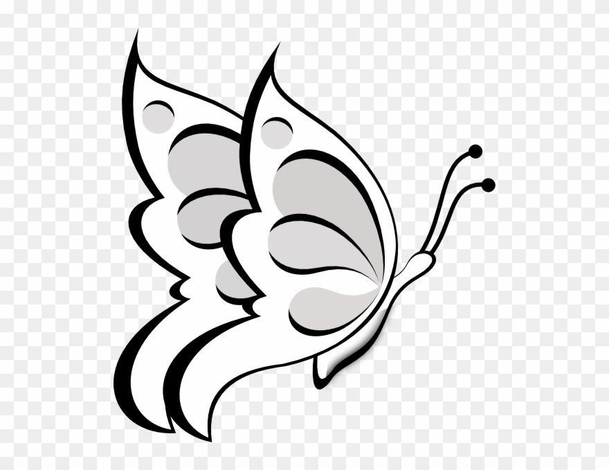 Blank Butterfly Clip Art - Butterfly Clip Art - Png Download