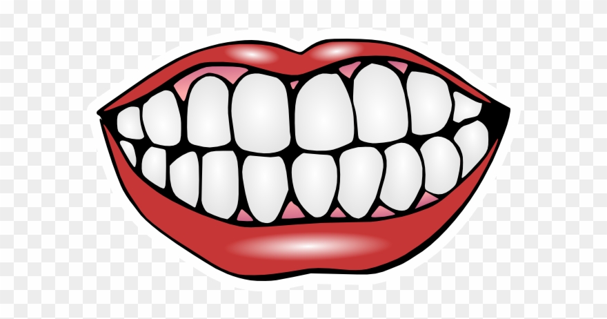 False Teeth Cliparts - Teeth Clipart - Png Download