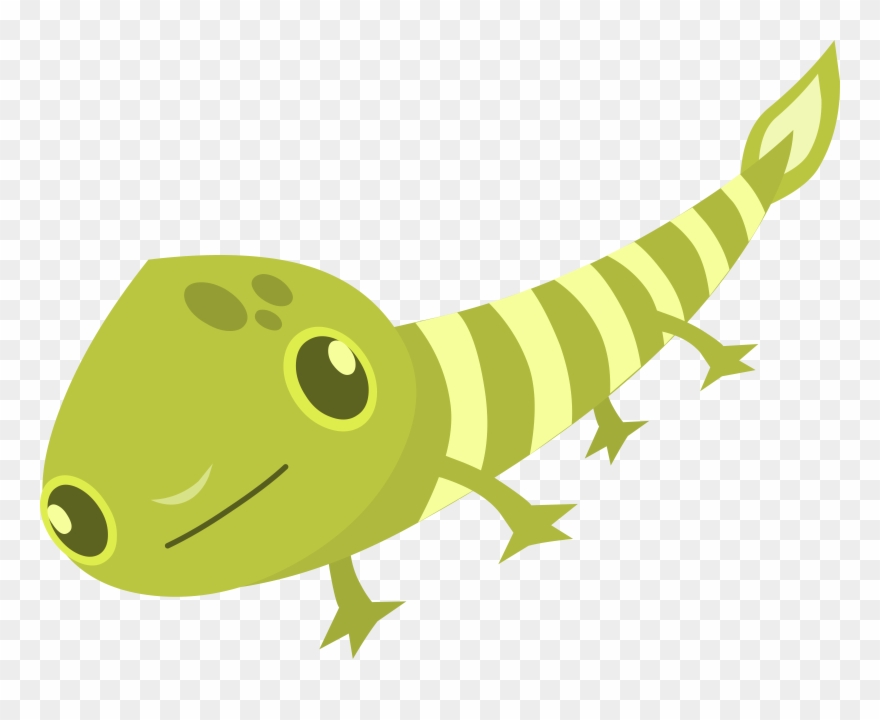 Green Gecko Lizard Computer Icons Animal - ลาย กราฟฟิก สี เขียว Clipart