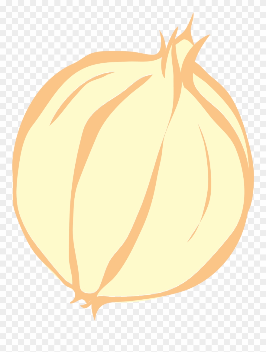 Onion Vector Clip Art - Clip Art - Png Download