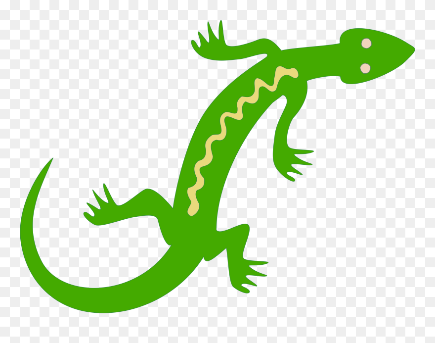 Lizard Reptile Salamander Lacertids Gecko - Lizard Clipart