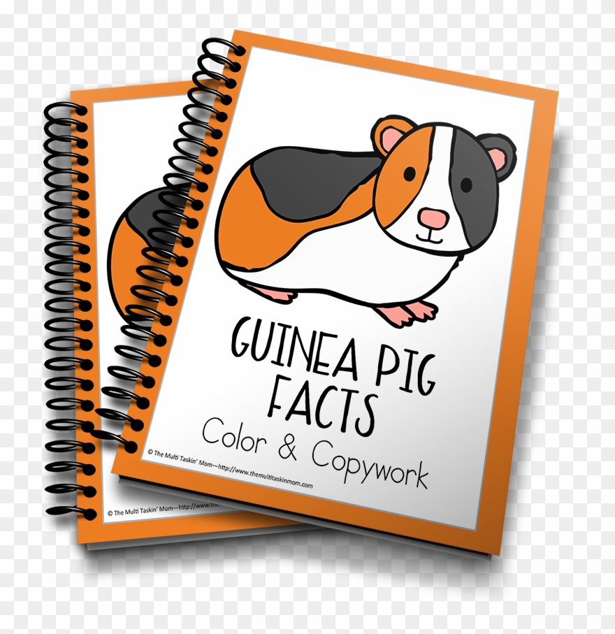 Guinea Pig - Captured Memories Workbook: Looking Back [book] Clipart
