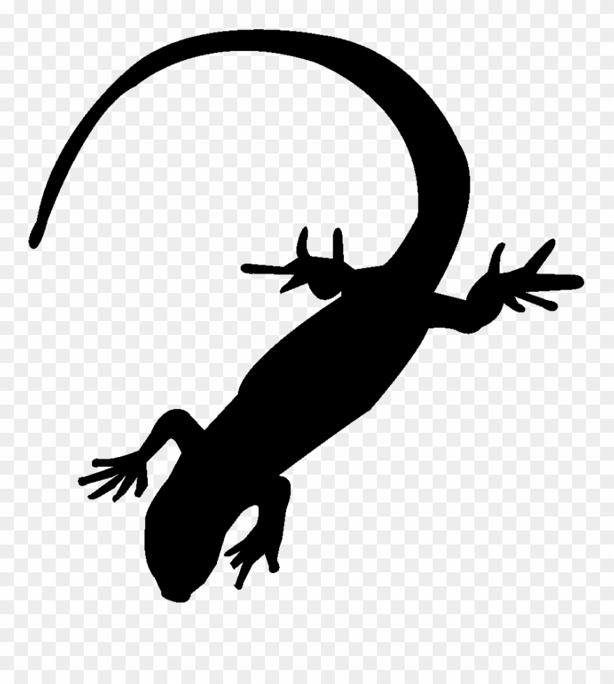 Gift Shop - Lizard Silhouette Transparent Clipart - Png Download