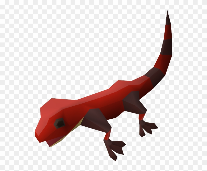 Clip Art Black And White Download Gecko Clipart Pet - Wiki - Png Download