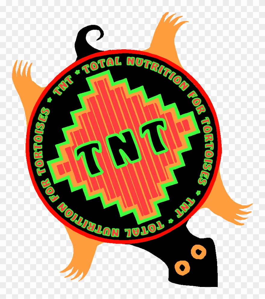Tnt Total Nutrition For Tortoises 8 Ounces Free Shipping - Tnt Tortoise Clipart