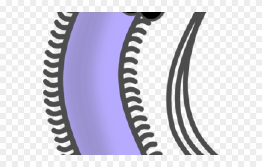 Bacteria Clipart Color - Organism Png Transparent Png