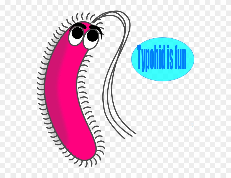 Funny Germs Cliparts - Gram Positive Bacteria Cartoon - Png Download