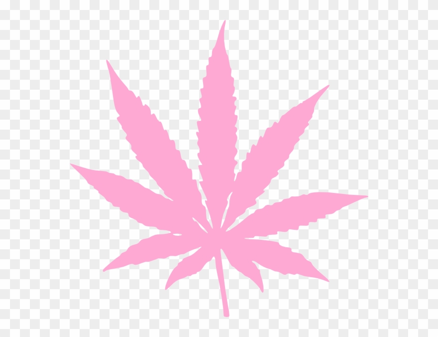 Weed Plant Vector - Pink Marijuana Leaf Png Clipart