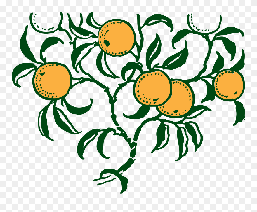 Branch Clip Art Download - Orange Tree Vector Art - Png Download