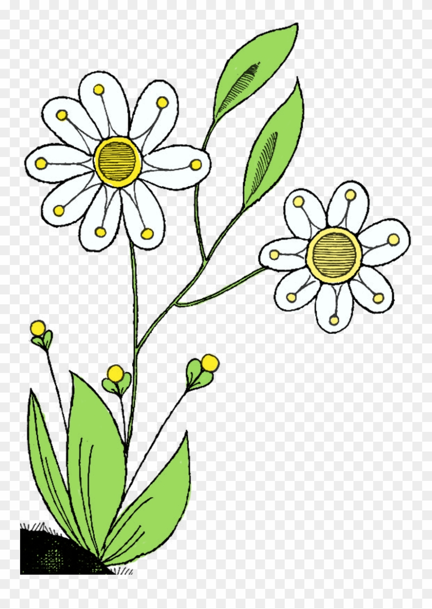 Birthday Flowers Clipart - Wildflower Clip Art Birthday - Png Download