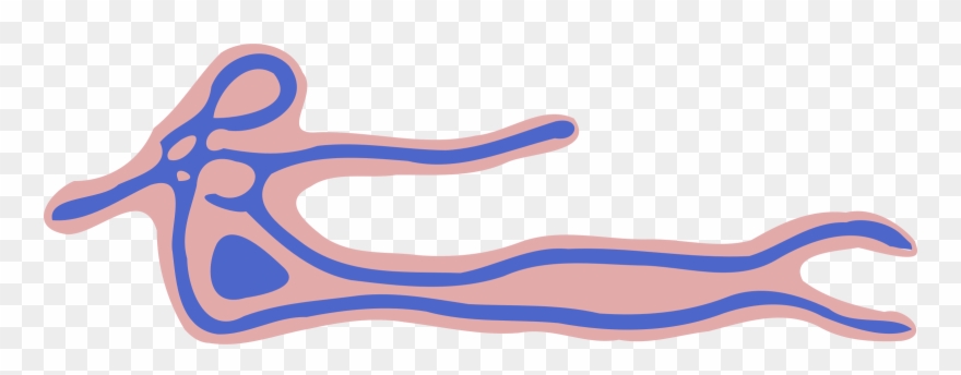 Ebola Cliparts - Png Download