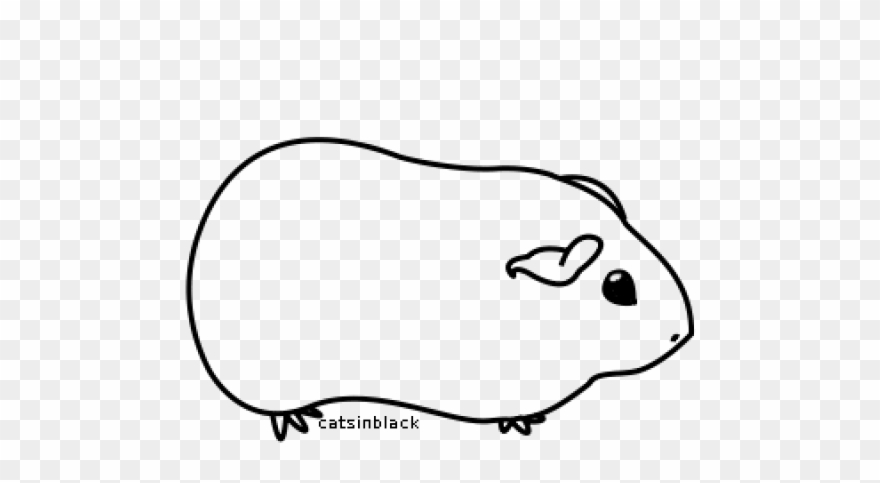 Guinea Pig Clipart Black And White - Png Download
