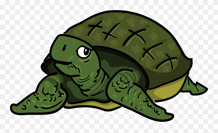Turtle Clipart