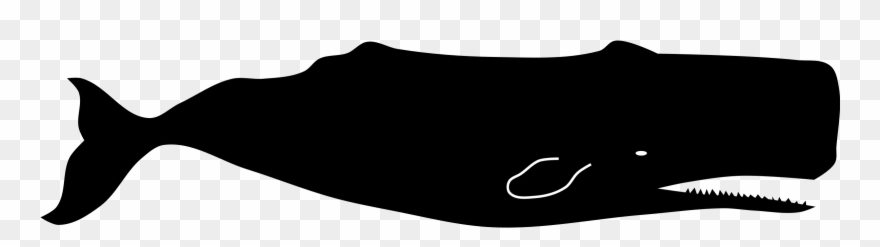 Sperm Whale Clipart Giant - Sperm Whale Silhouette - Png Download