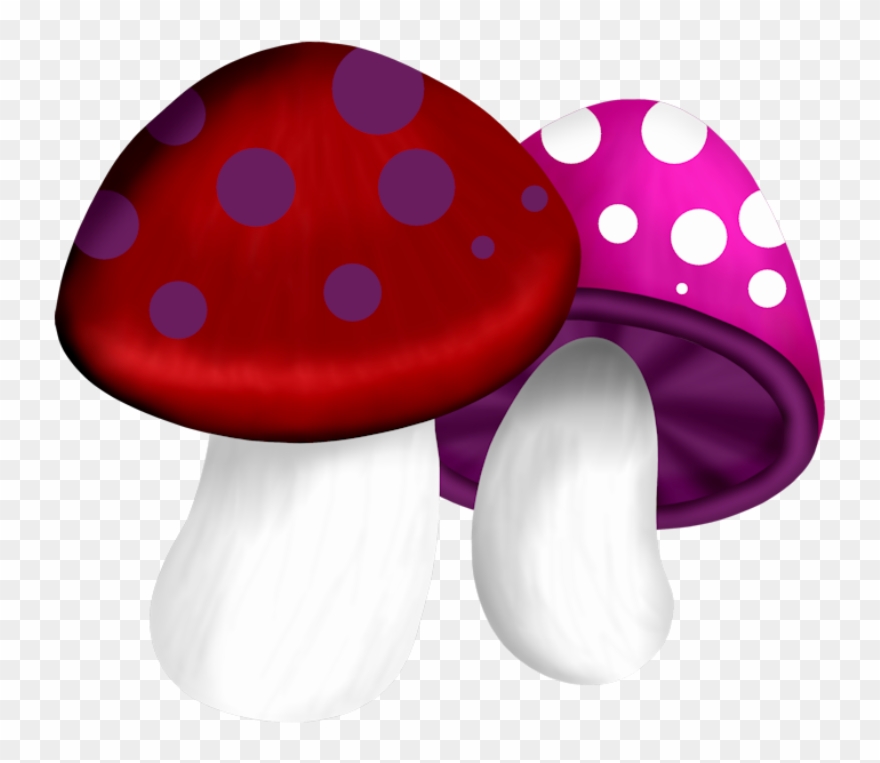 ‿✿⁀shrooms‿✿⁀ Mushroom Clipart, Toad, Fairy Houses, - Clip Art - Png Download