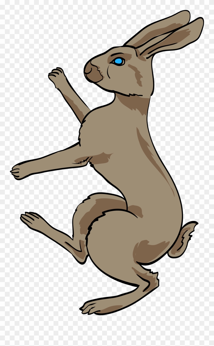 Hare Clipart Heraldic - Coat Of Arms Rabbit - Png Download