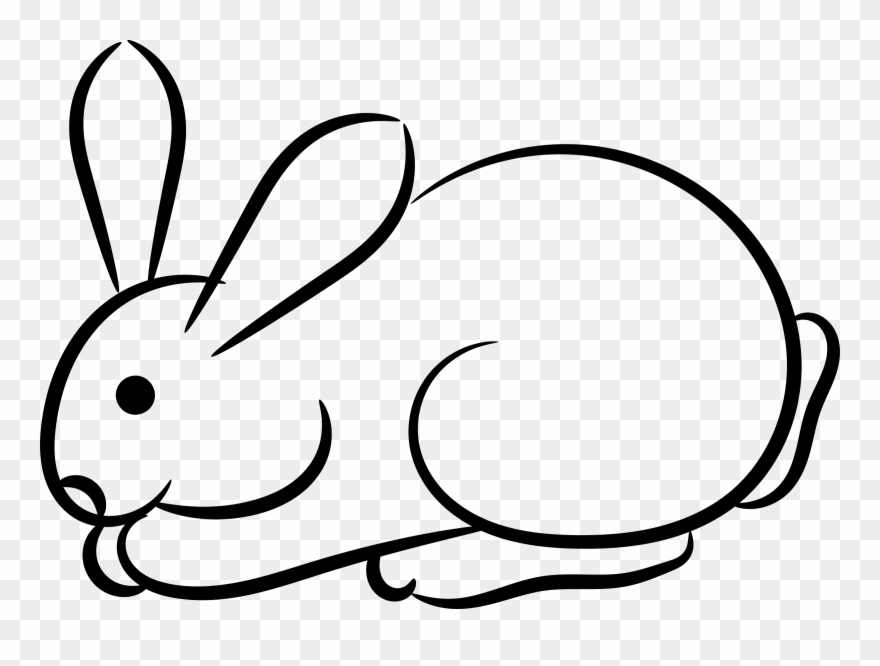 Holland Lop Lionhead Rabbit Arctic Hare Domestic Rabbit - Conejo Acostado Para Colorear Clipart
