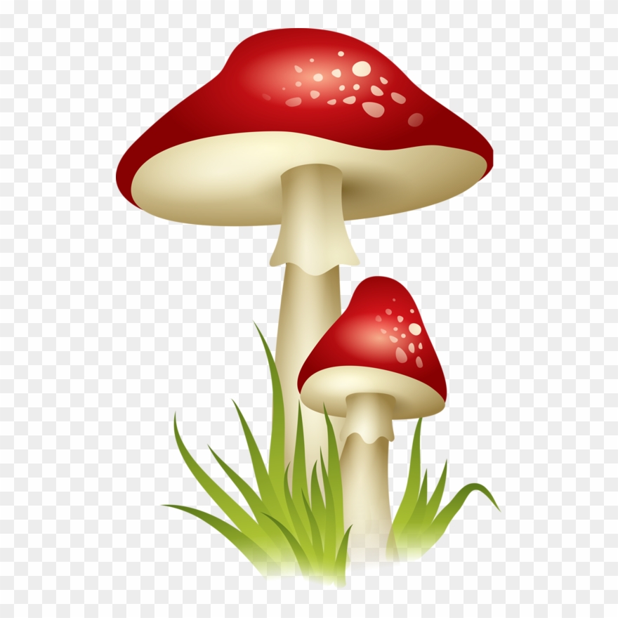Clip Art Black And White Library Gnome Clipart Colorful - Transparent Background Mushroom Clipart - Png Download