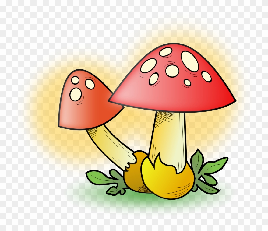 Gnome Clipart Musroom - Mushroom Clip Art - Png Download
