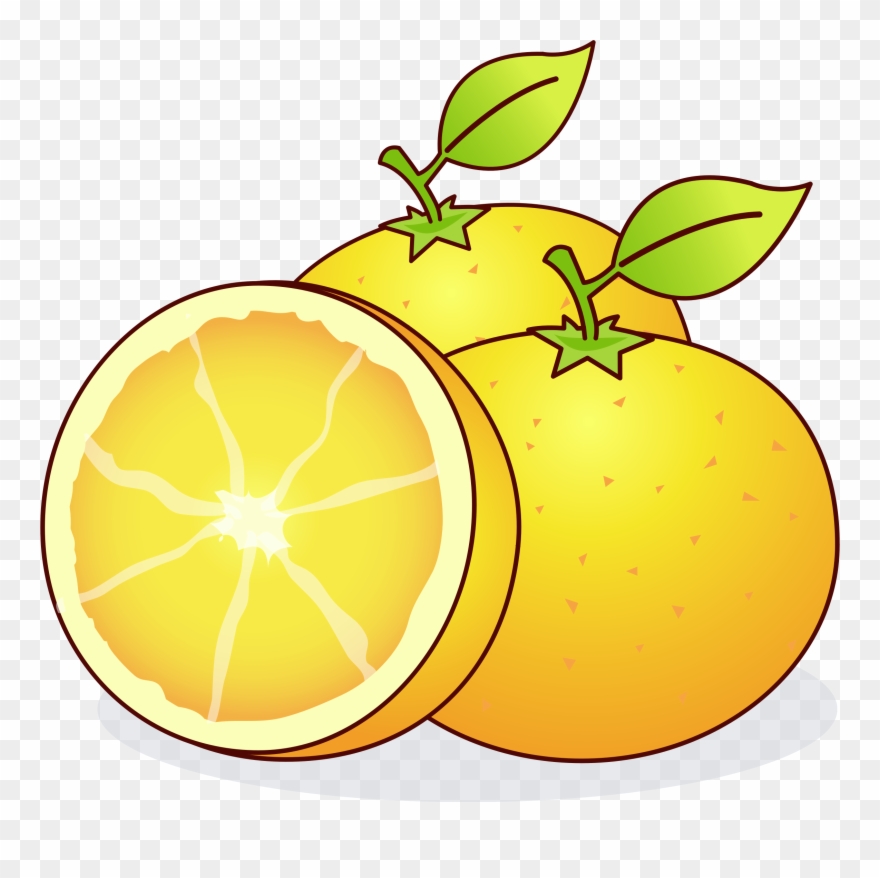 Big Image - Clip Art Citrus - Png Download