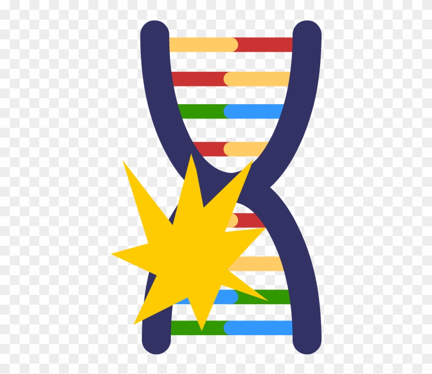 Genetic Mutations - Genetic Mutation Png Clipart
