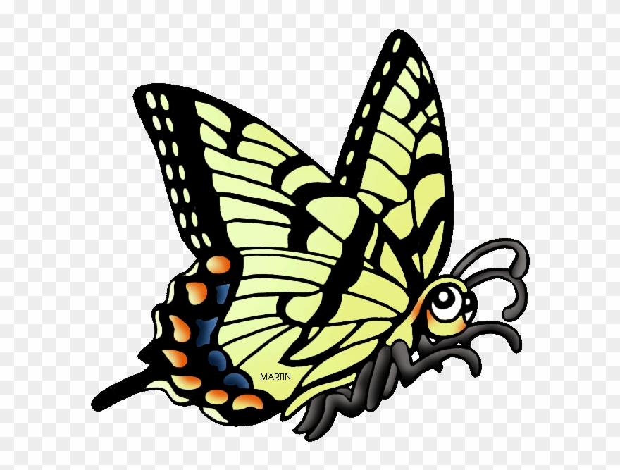 Georgia Clipart Ga State - Georgia State Butterfly - Png Download