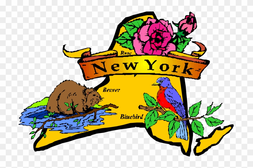 Best Places To Live - New York State Clipart Free - Png Download