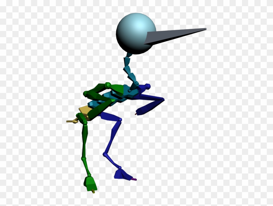 Bird Skeleton Research - Animation Clipart