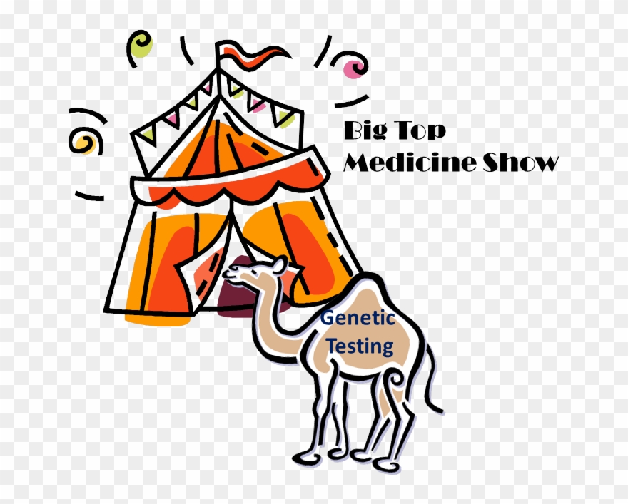 Genetic Screening Is Offered To Everyone Prior To Conception, - Circus Tent Clipart
