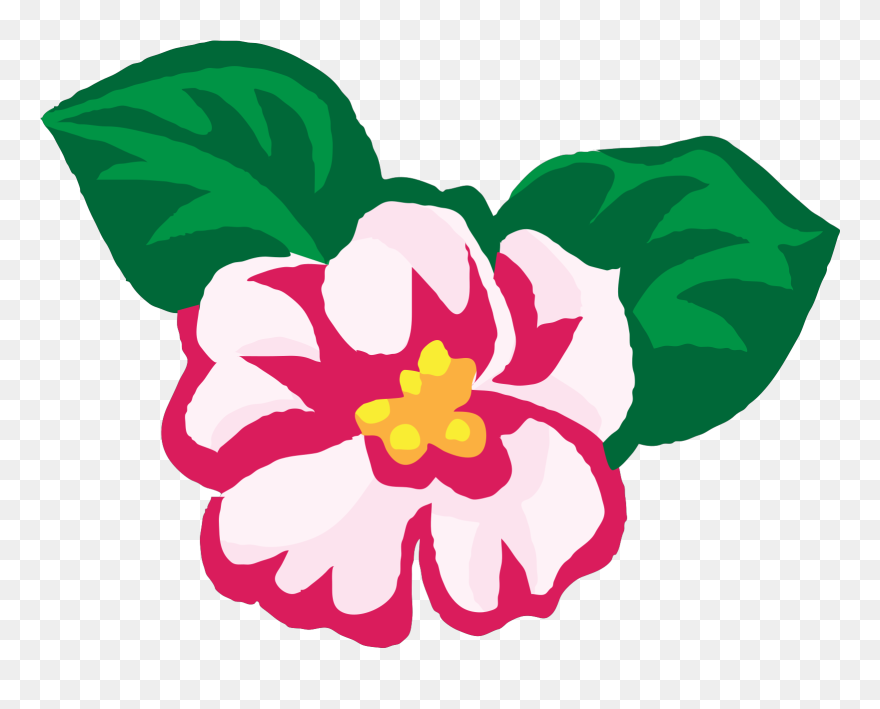 How To Grow African Violets Flower Download - National Flower Of Nepal Drawing Clipart