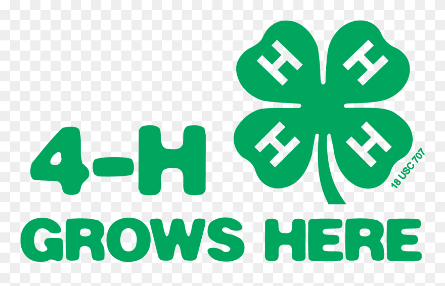 Png Black And White Stock 4-h Clipart Statistics - 4 H Grows Here Transparent Png