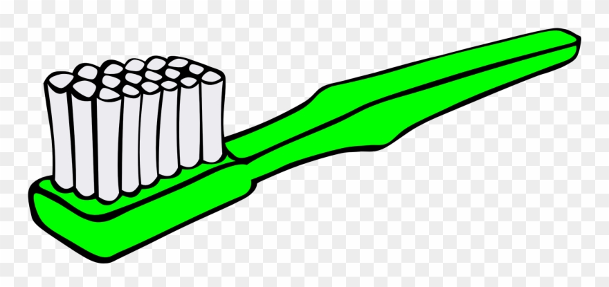 Stuff Can Grow On Your Toothbrush - Toothbrush Clipart - Png Download