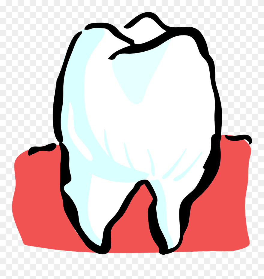 Grapefruit - Teeth Clipart - Png Download