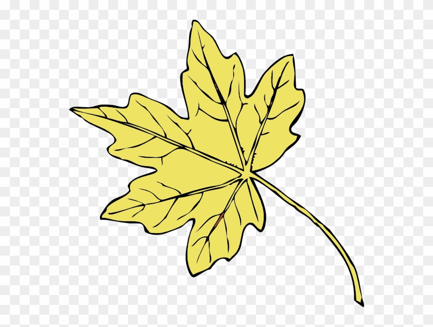 Gold Maple Leaf Clip Art - Red Maple Leaves Clip Art - Png Download