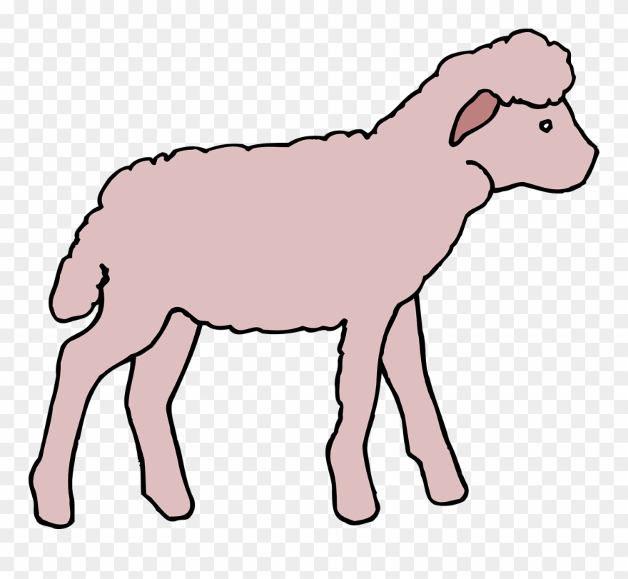 Portable Network Graphics Clipart Sheep Clip Art - Cordeiro Desenho Png Transparent Png