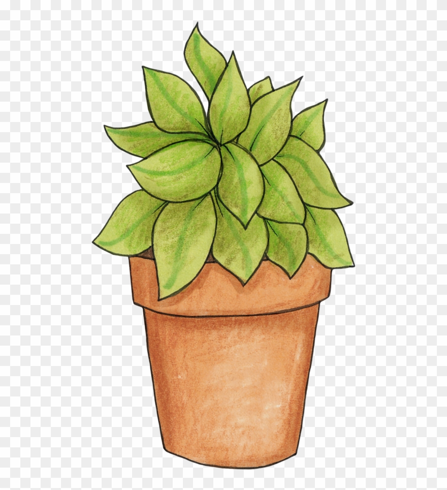 Potted Plant - Pot Plant Clip Art - Png Download