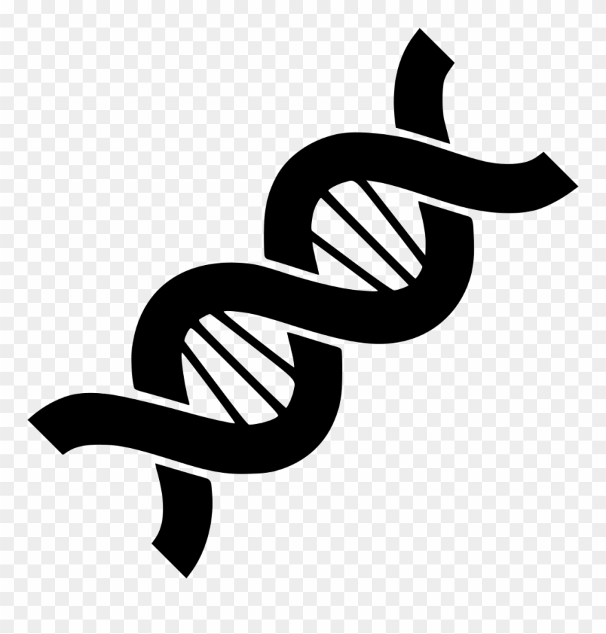 Clip Free Stock Biology Structure Chain Helix - Genetics Png Transparent Png