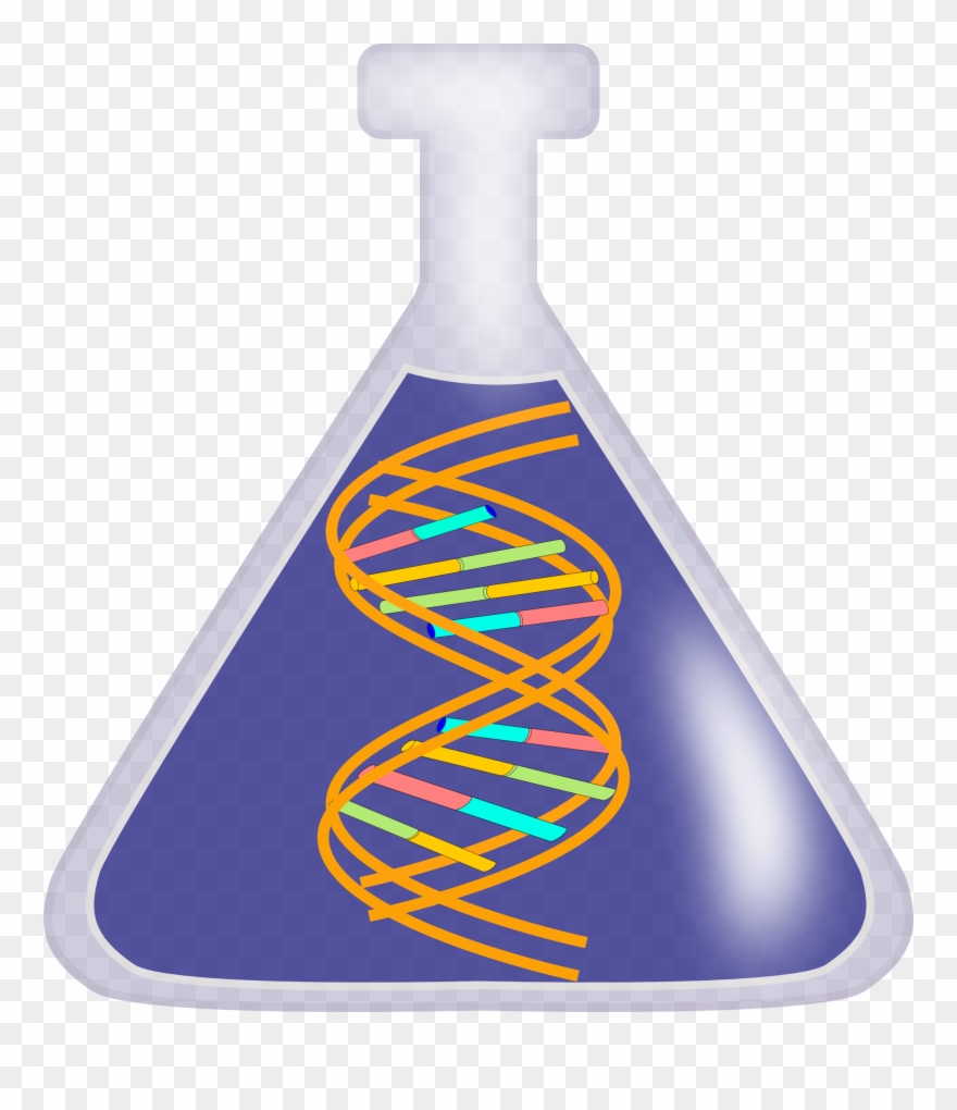 Dna Clip Art - Dna Clip Art Png Transparent Png