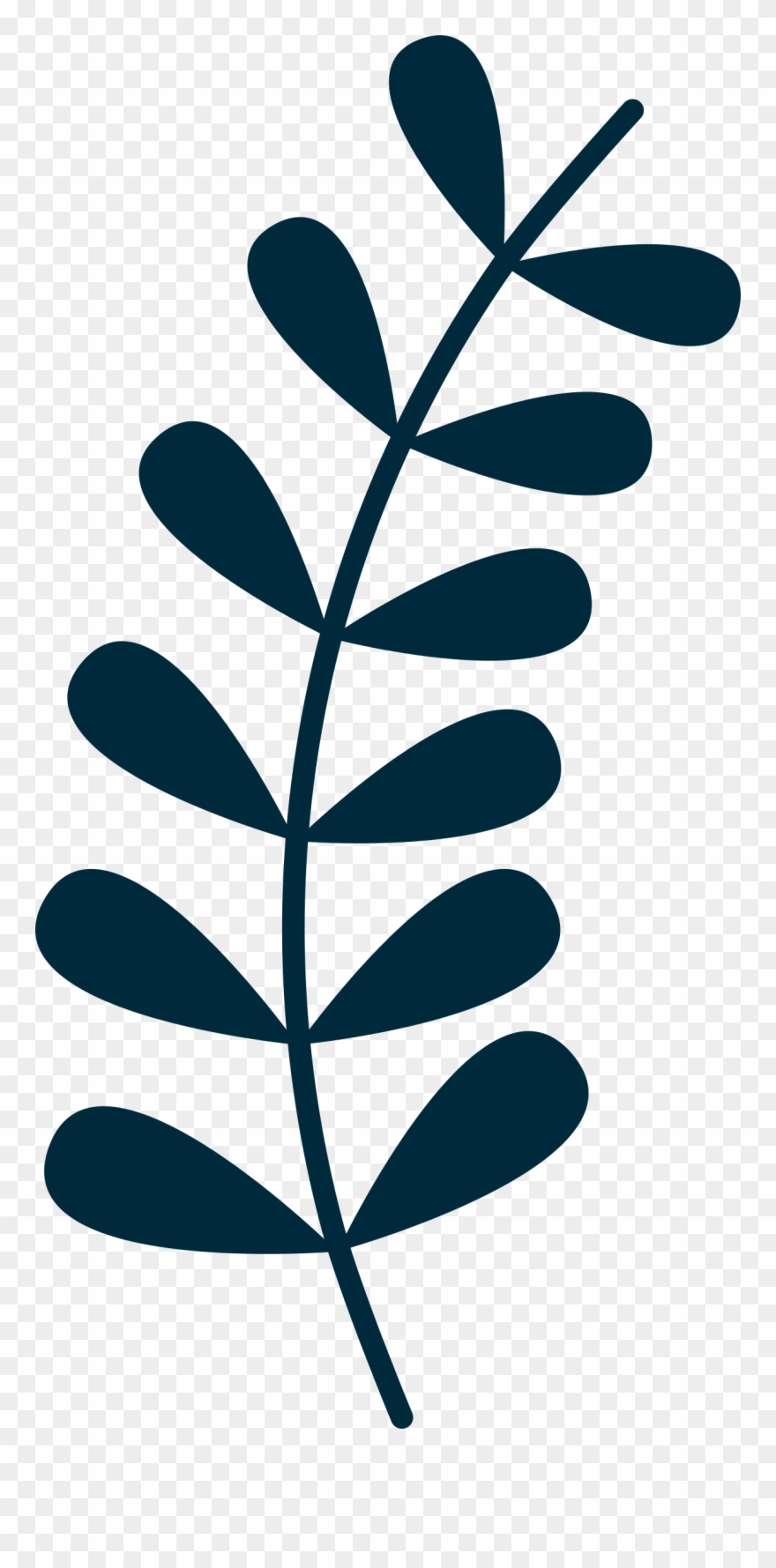 Simple Clipart Vine - Leaves On Vine Clipart - Png Download